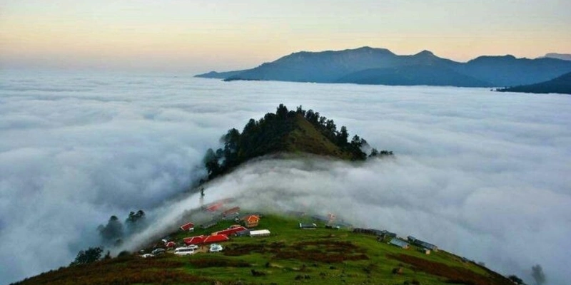 جنگل ابر شاهرود