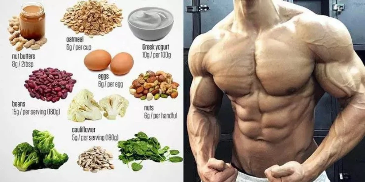 تغذیه باشگاه