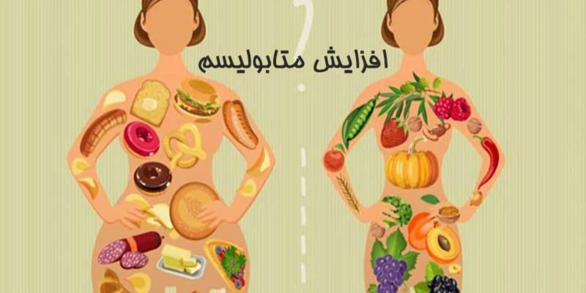 متابولیسم بدن