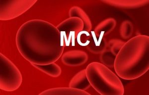 معنی MCV آزمایش خون