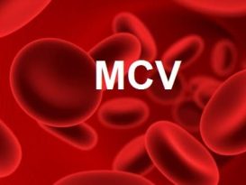معنی MCV آزمایش خون