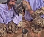 بیماری مرد درختی ایرانی