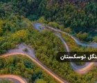 سفر به جنگل توسکستان